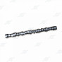 504004781 Вал распределительный CURSOR13